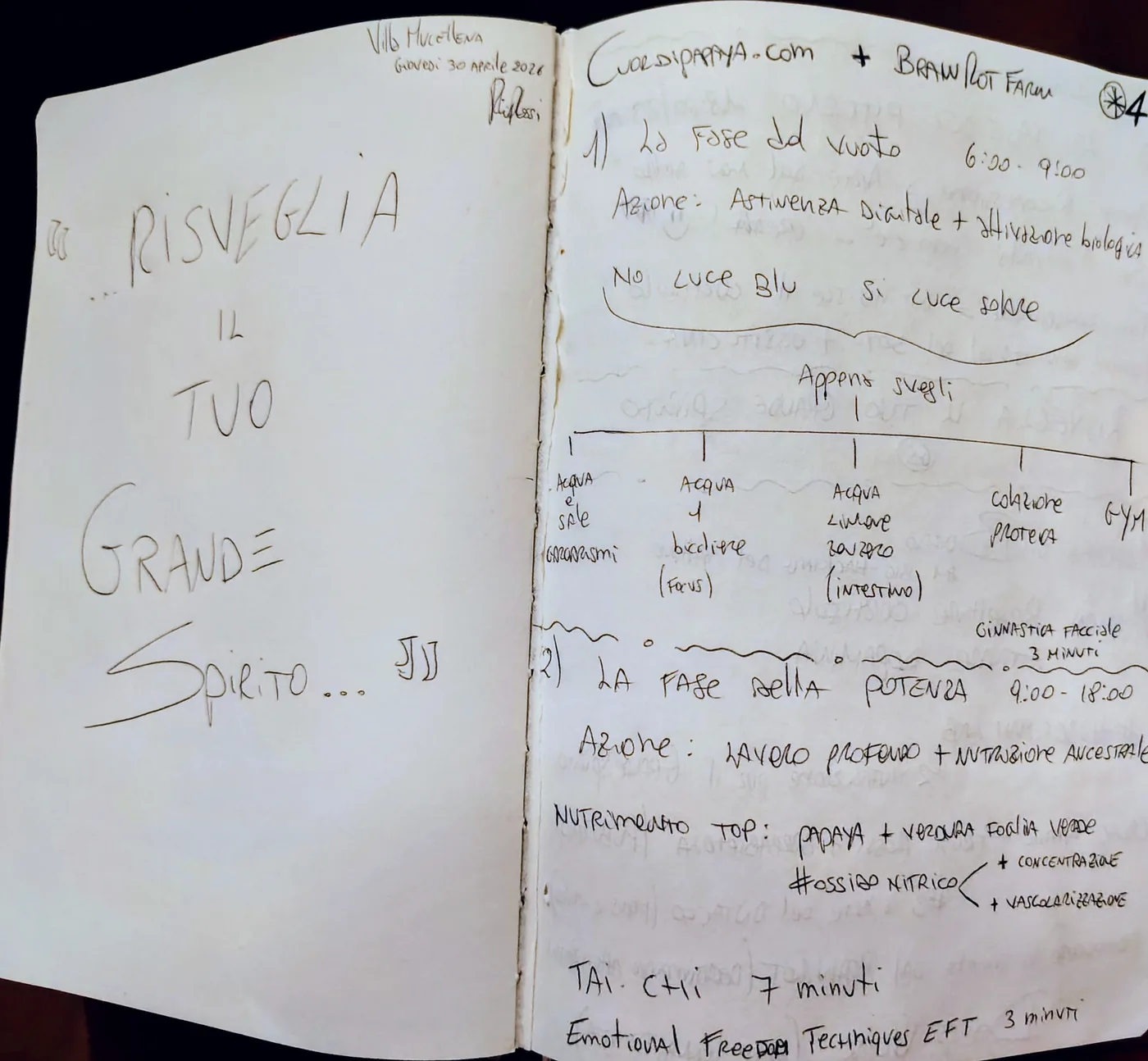 Taccuino manoscritto Riccardo Rossi Founder — pagina 01 Il RiZveglio