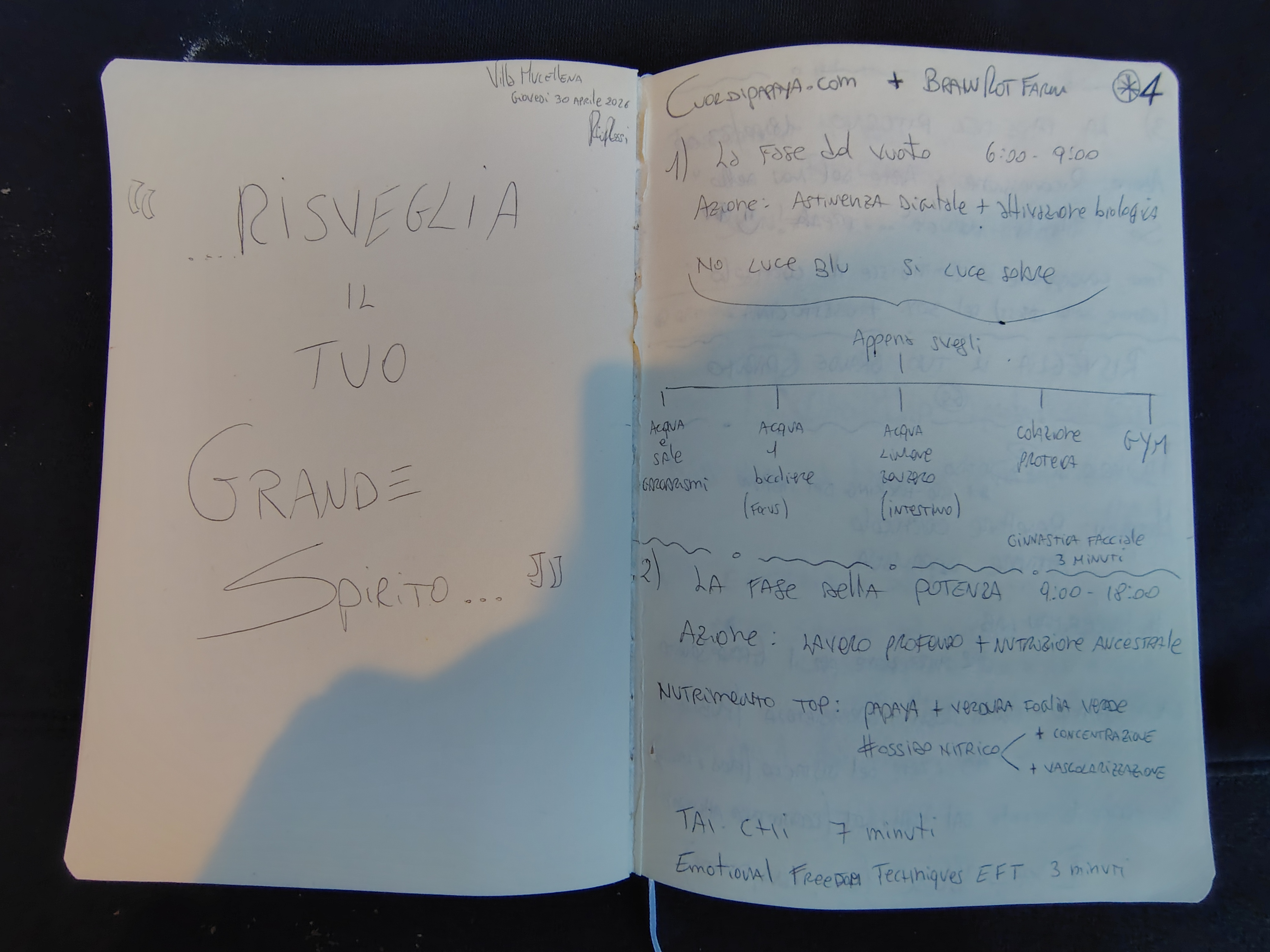 Taccuino manoscritto Riccardo Rossi Founder CuordiPapaya — Roadmap Brain Ro-T-uscany Risveglio del Grande Spirito